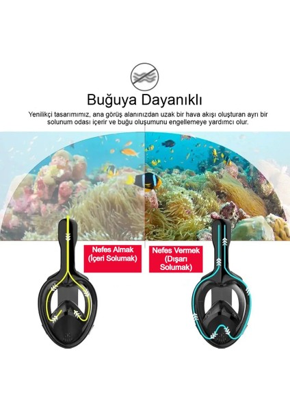 Yetişkinler Için Tam Yüz Şnorkel Maskesi, 180° Görüş, Anti Sis, Kolay Nefes, Kuru Şnorkel indirimleri