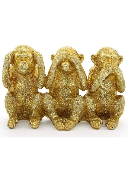 Polyester 3 Maymun - Görmedim Duymadım Bilmiyorum