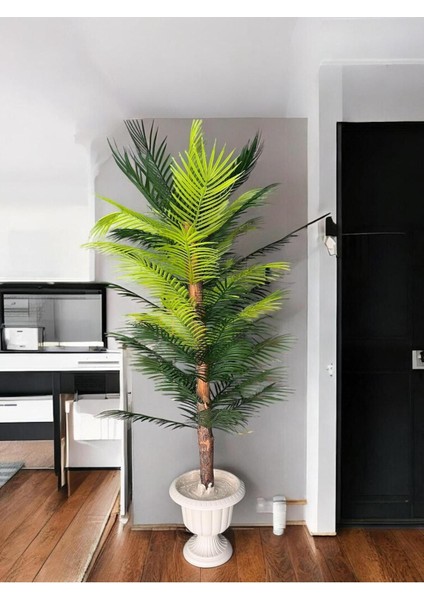 Yapay Areka Ağaç 150 cm Beyaz Nergis Saksı Dahildir