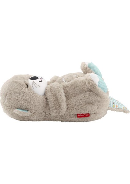 FXC66 Fisher-Price® Uyku Arkadaşı Su Samuru.gzpxt