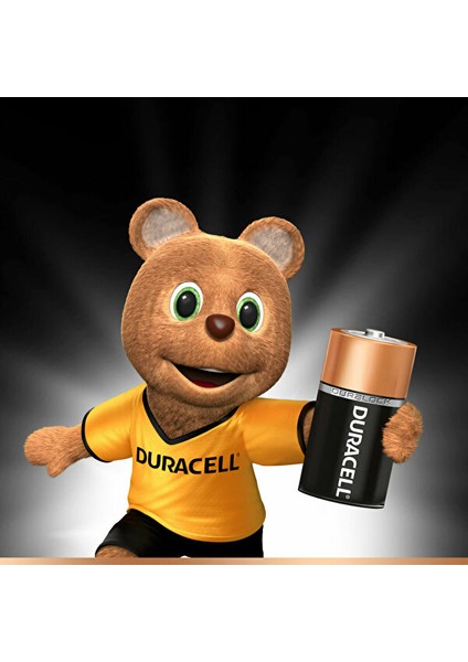 Duracell Basic C Boy Pil 2li.gzpxt