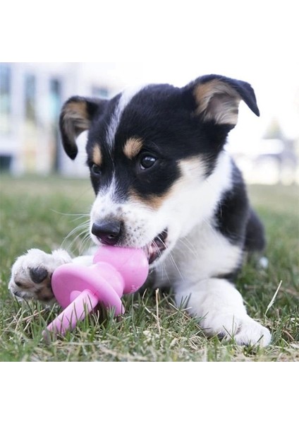 Kong Puppy Diş Kaşıma Emziği Yavru Köpek Oyuncağı Medium 13.5 Cm.gzpde