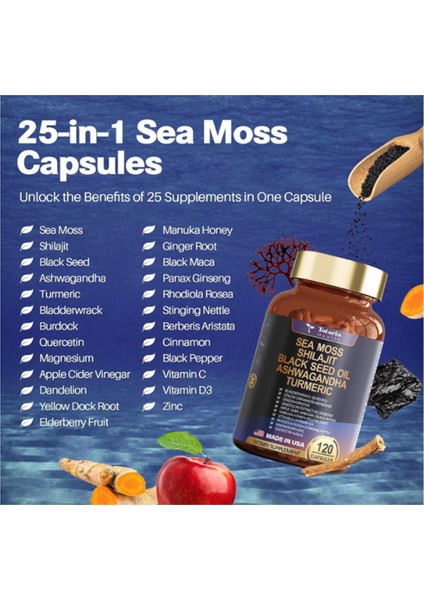 Healt 25-In-1 Sea Moss Black Seed Oil Ginger Shilajit With Bladder Burdock Ceylon Cinnamon Berberine Acv Manuka Vıt C D3, 120 Caps.abd Menşei modelleri
