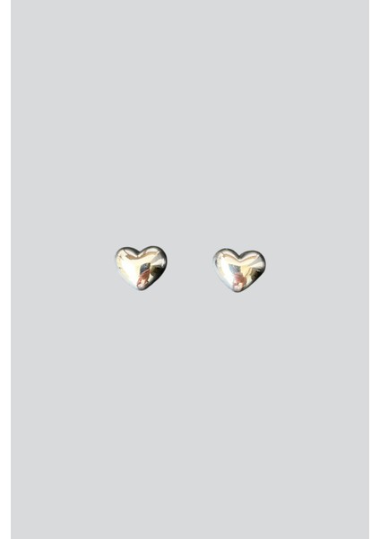 Gümüş Renk Kalp Küpe