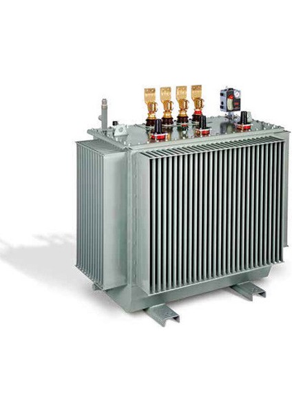 Astor Astor A Plus Plug 0009 800 Kva 31.5/0.4 Kv Trafo A.plus (Plug-In)