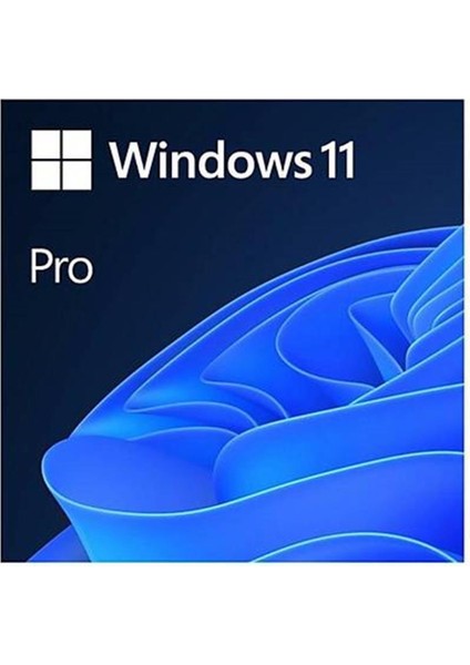 Microsoft Windows 11 Pro 64BIT Türkçe Kutu HAV-00159 Kutulu Işletim Sistemi