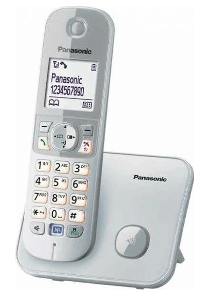 Panasonıc Kx TG6811 Dect Telefon ,gri