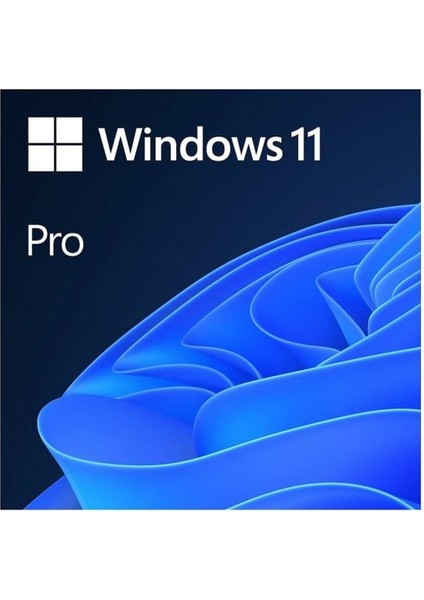Ms Wındows 11 Pro 64BIT Tr Oem FQC-10556