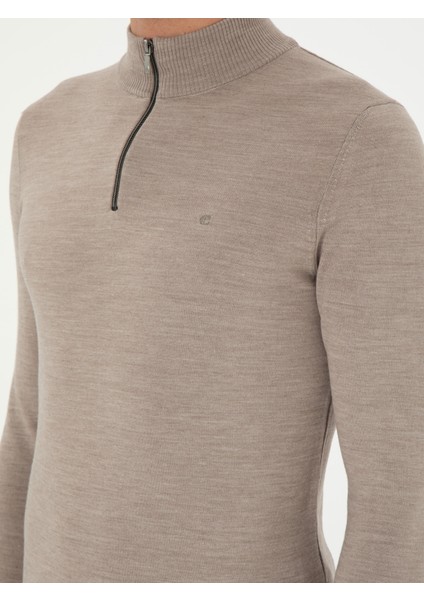 Erkek Vizon Regular Fit Basic Kazak 50296487-VR052