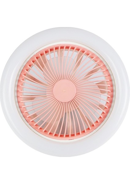 E27 Lamba Kafası Tavan Çift Amaçlı Fan Lambası 3 Dişli (Yurt Dışından)