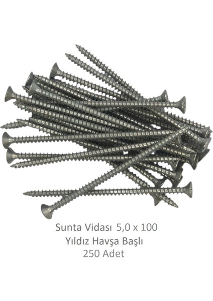 Sunta Vidası 5x100 250 Adet
