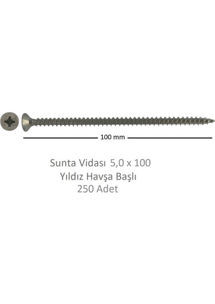 Sunta Vidası 5x100 250 Adet
