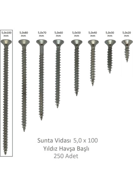 Sunta Vidası 5x100 250 Adet