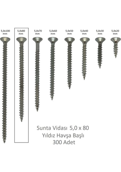 Sunta Vidası 5x80 300 Adet
