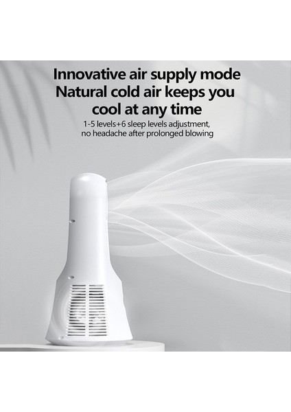 Dijital Ekranlı Kanatsız Aromaterapi Fanı Gümüş (Yurt Dışından) indirimleri