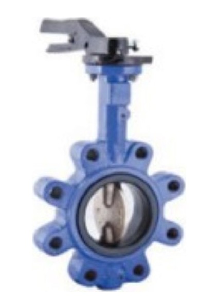2164 4 PN16 Kelebek Vana Lug Tip DN100