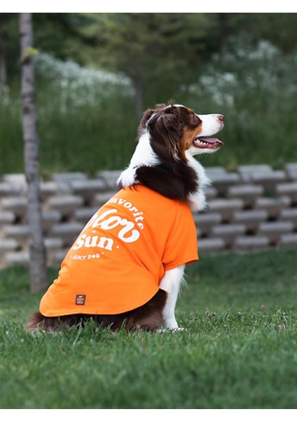 Asky Dog Köpek T-Shirt indirimleri