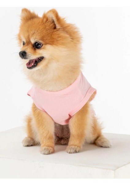 Bcbc Single Köpek T-Shirt Pembe fiyatları