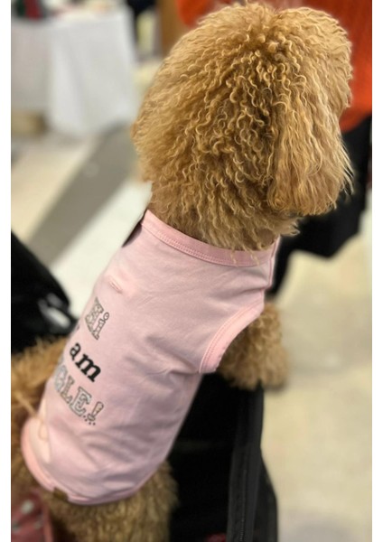 Bcbc Single Köpek T-Shirt Pembe fırsatları