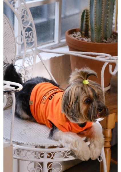 Bcbc Single Köpek T-Shirt Turuncu modelleri