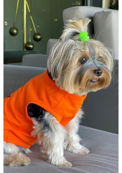 Bcbc Single Köpek T-Shirt Turuncu fırsatları