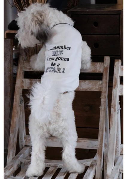 Bcbc Star Köpek T-Shirt fiyatları