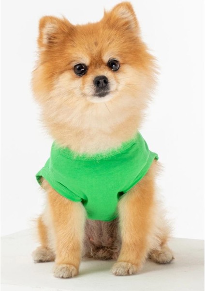 Bcbc Party Köpek T-Shirt Yeşil fiyatları