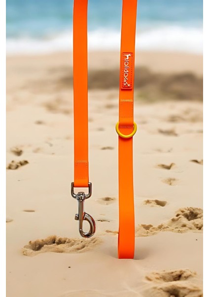 Jelly Collection Köpek Gezdirme Tasması Mango fiyatları