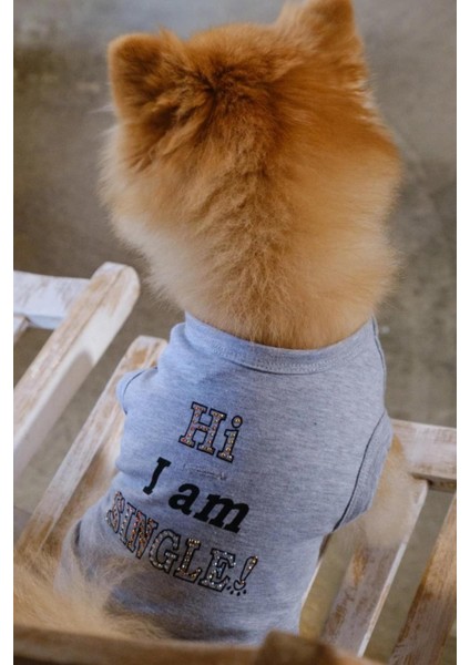 Bcbc Single Köpek T-Shirt Gri fiyatları