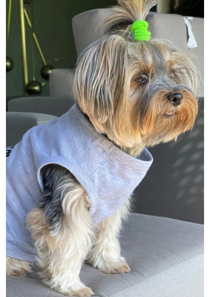 Bcbc Single Köpek T-Shirt Gri modelleri