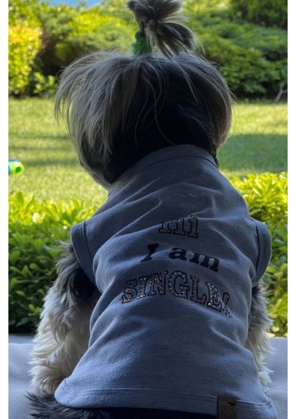 Bcbc Single Köpek T-Shirt Gri fırsatları
