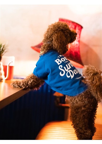 Asky Happy Dog Köpek T-Shirt indirimleri
