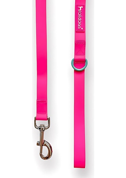 Jelly Collection Köpek Gezdirme Tasması Candy