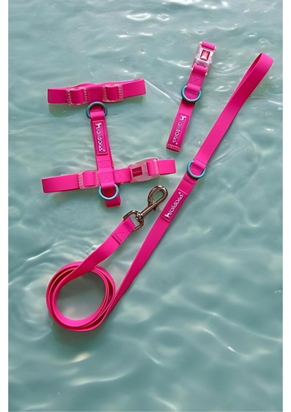 Jelly Collection Köpek Gezdirme Tasması Candy fiyatları