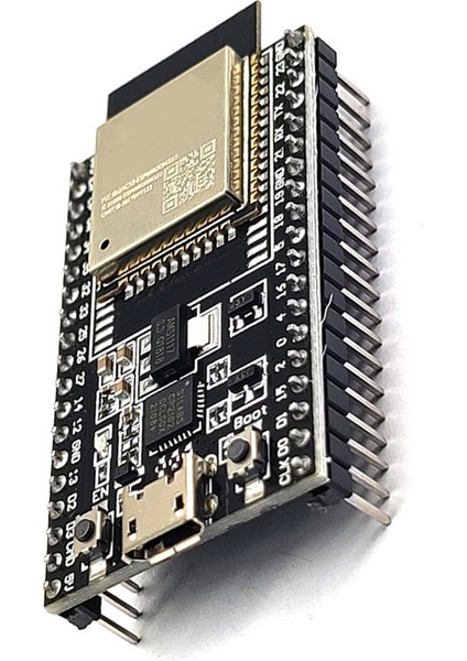 ESP32 Taban Plakası WROOM-32D Wrover Modülü ile Donatılabilir (Yurt Dışından)