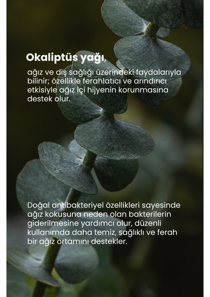 x Hassas Dişler ve Diş Etleri Için Beyazlatıcı Diş Macunu