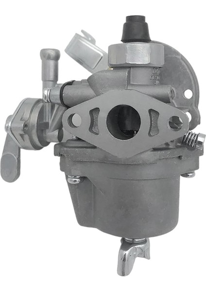 Robın NB411 Karbüratörlü Benzinli Motor Için (Yurt Dışından)