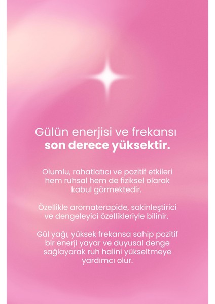 Clinic Gül Tazeliği Duş Jeli 250ml fırsatları