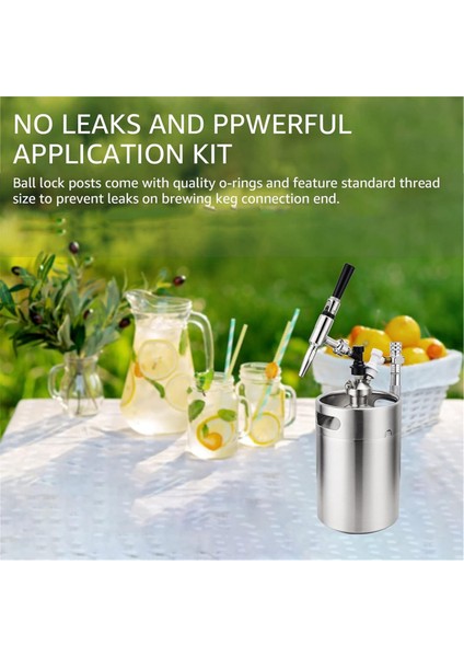 2 Çift Bilyalı Kilit Direği, Paslanmaz Çelik 304 (Yurt Dışından) fırsatları