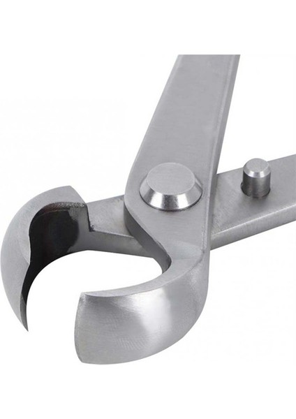 Bahçe Top Makası, Paslanmaz Çelik Top Makas Bonsai Aracı (Yurt Dışından) fiyatları