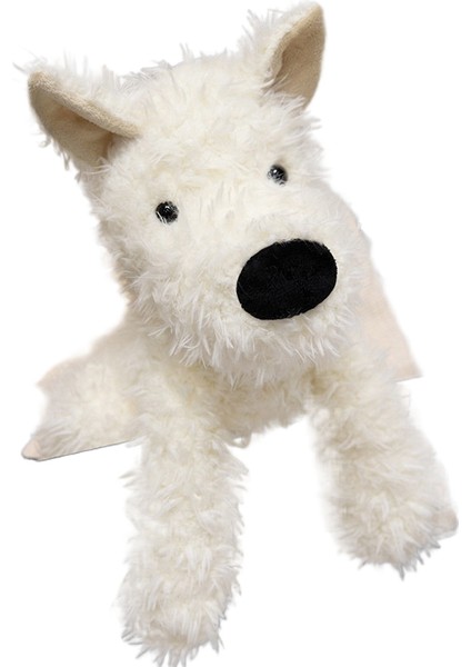 Tüylü Kafalı Bebek (Yurt Dışından)