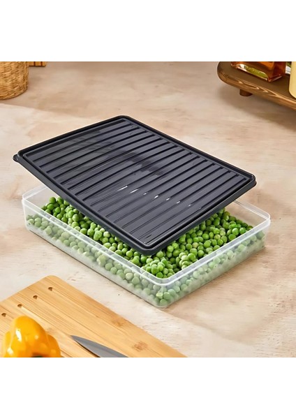 2'li Şeffaf Saklama Kabı 2x2,5 Lt BGMT2225 Mikrodalga Buzdolabı ve Dondurucu Uyumlu Düzenleyici fırsatları