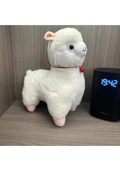 Yeni Peluş Oyuncaklar (Yurt Dışından)