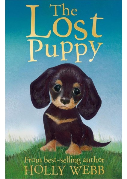 Holly Webb Animal Stories: The Lost Puppy