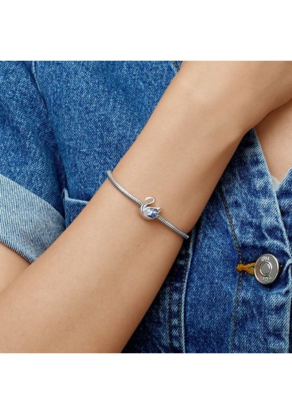 Aytaşı Kuğu Charm, 925 Ayar Gümüş fırsatları