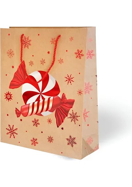 Christmas Gift Bag - Kraft modelleri
