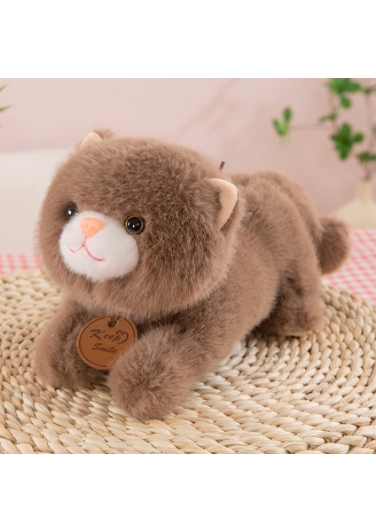 35CM Sevimli Kedi Peluş Oyuncak Bebek Bebek Yastık Hediye (Yurt Dışından)