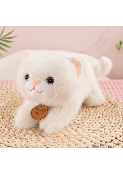 45CM Sevimli Kedi Peluş Oyuncak Bebek Bebek Yastık Hediye (Yurt Dışından)