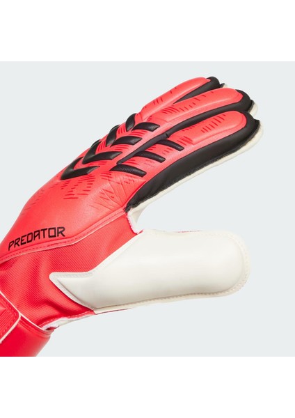Pred Gl Mtc Fs