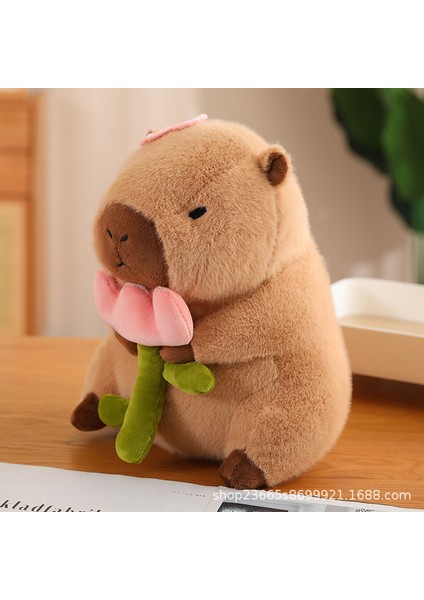 40CM Sevimli Kapia Peluş Oyuncak Bebek Yastık Hediye (Yurt Dışından)